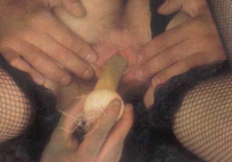 cibosesso.jpg