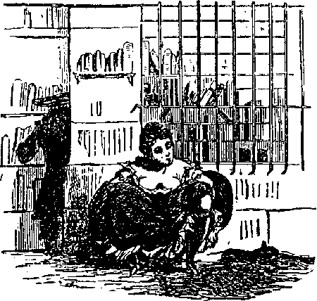 Pierre Marteau Libraire