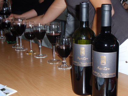Bevande, fermenti, vini ed ebbrezze