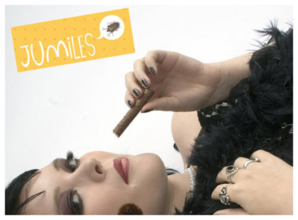 Un brand per una cimice