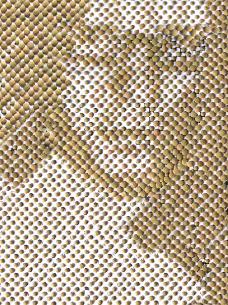 Autoritratto in forma di assemblage