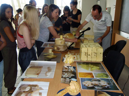 Dalla City of wine di Frank O. Gehry alla Casa di Mickey Mouse