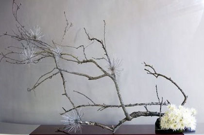 Food-Design – Esercitazione 6 – Jes dis: une fleure