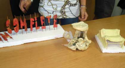 progetto e sistema