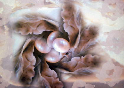 Un souper gourmand au Café Riche