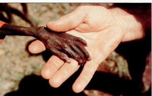 poverta